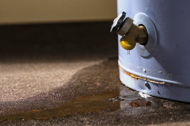 Best Flood damage cleanup  in Elm City, NC