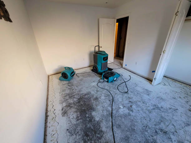 Best Flooded house restoration  in Elm City, NC