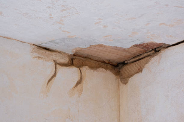 Best Fire Damage Restoration  in Elm City, NC