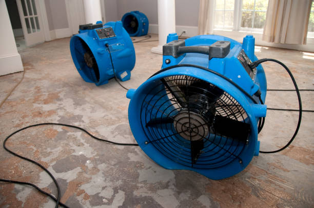 Best Commercial water damage restoration  in Elm City, NC