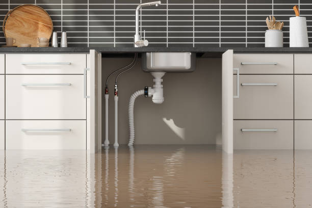 Best Flooded house restoration  in Elm City, NC